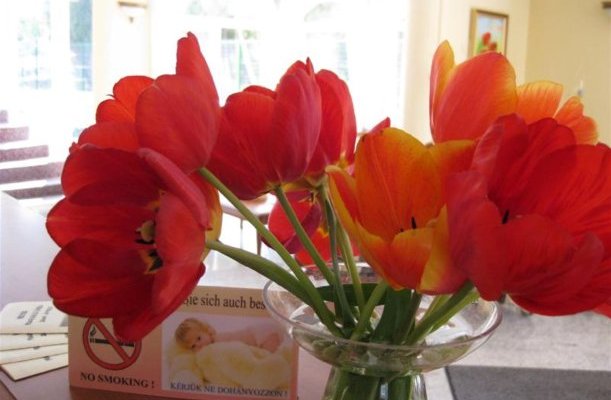 Sante Heviz Sante Heviz