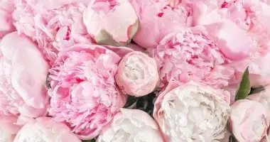 Pfingsten (min. 3 Nchte)