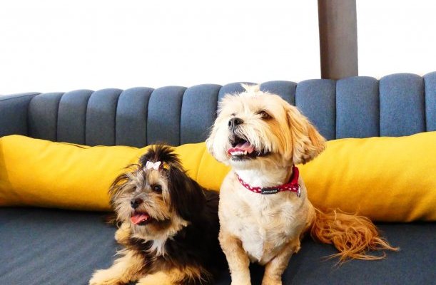 Hotel Yacht Siofok Hotel Yacht Siofok