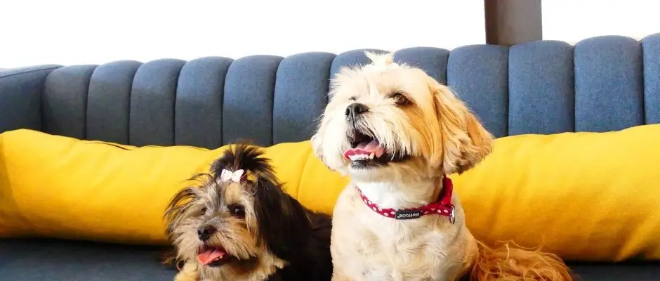 Hotel Yacht Wellness & Business Siofok