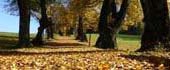 Herbst