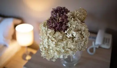 Hotel Zsanett Balatonkeresztur