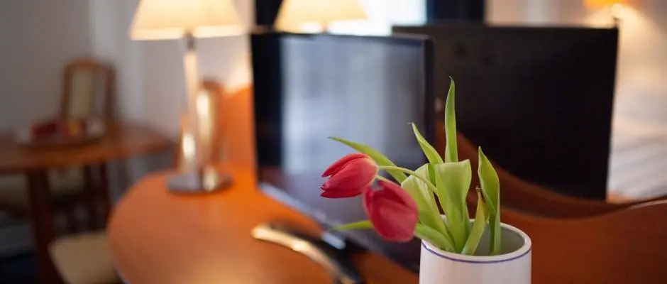 Hotel Zsanett Balatonkeresztur