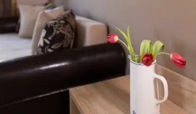 Hotel Zsanett Balatonkeresztur