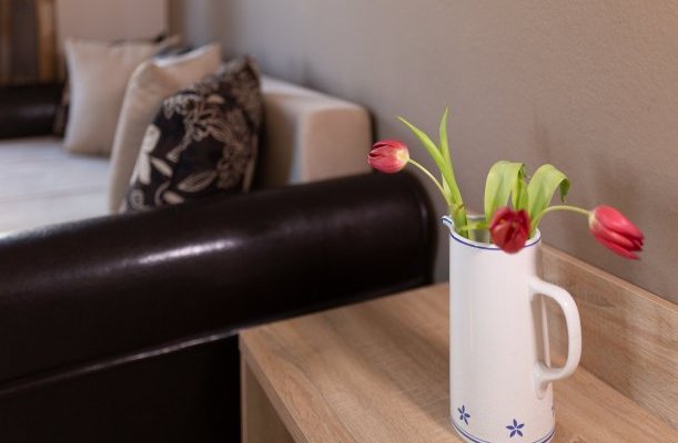 Hotel Zsanett Balatonkeresztur