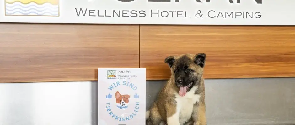 Vulkan Wellness Hotel & Camping Celldomolk