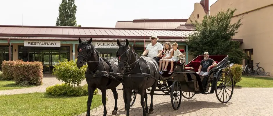 Vulkan Wellness Hotel & Camping Celldomolk