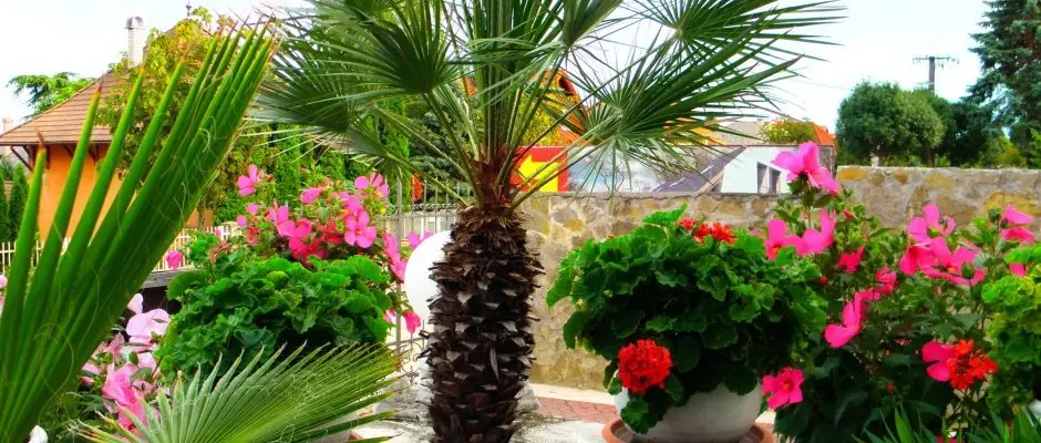 Kristaly Apartment Heviz