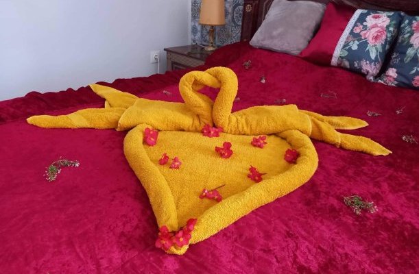 Meller Castle Villa Csurgo Meller Castle Villa Csurgo