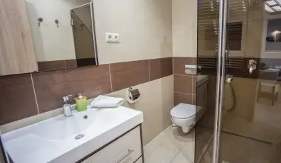 Apartments Nemeth Sarvar