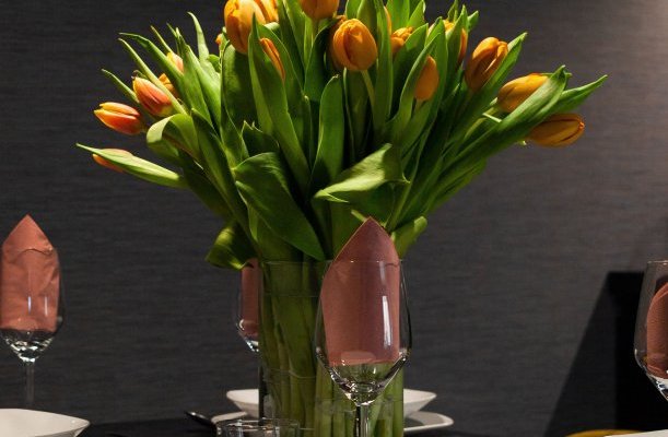 R31 Residence Sarvar