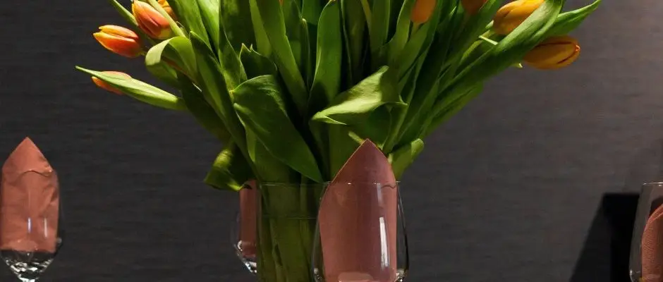 R31 Residence Sarvar