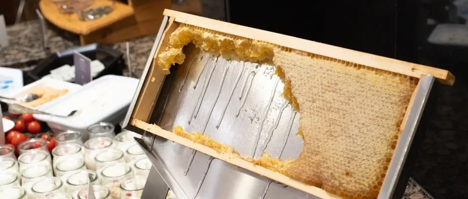 Lotus Therme Hotel & Spa Heviz