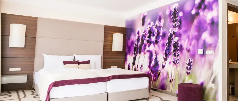 Ambient Hotel & ThermalSPA**** Sikonda