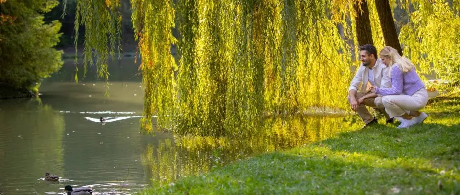 Ambient Hotel & ThermalSPA**** Sikonda