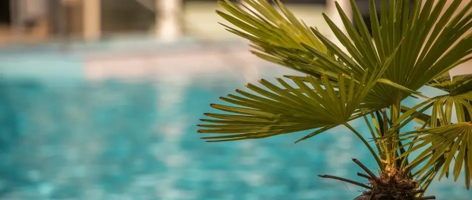 Ambient Hotel & ThermalSPA**** Sikonda