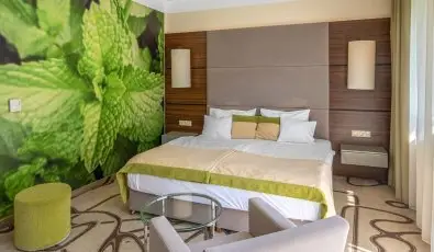 Ambient Hotel & ThermalSPA**** Sikonda