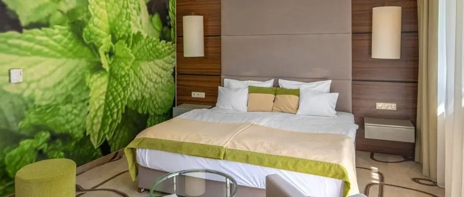 Ambient Hotel & ThermalSPA**** Sikonda