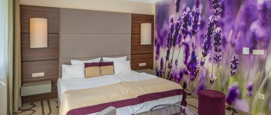 Ambient Hotel & ThermalSPA**** Sikonda