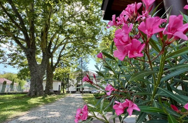 Hotel Siraly Balatonlelle Hotel Siraly Balatonlelle