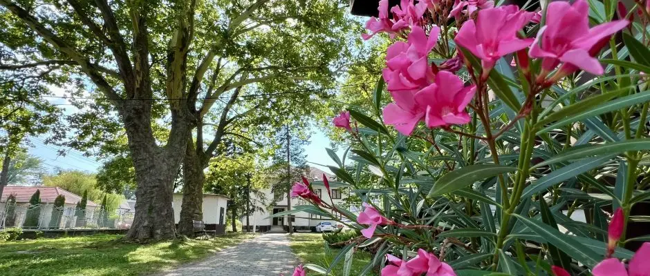 Hotel Siraly Balatonlelle