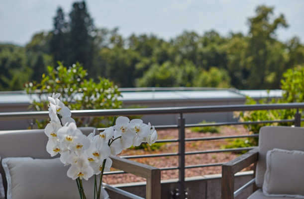 Thermal Hotel Balance  Lenti