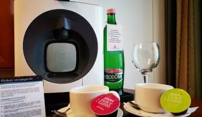 Thermal Hotel Visegrad