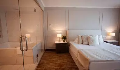 Thermal Hotel Visegrad