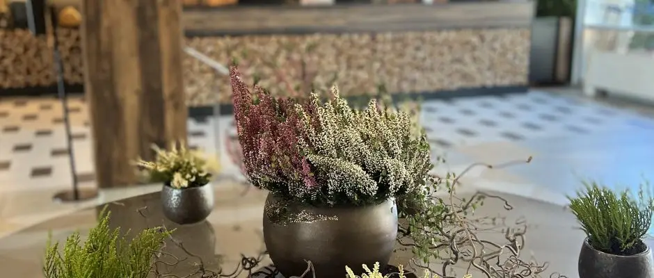 Thermal Hotel Visegrad