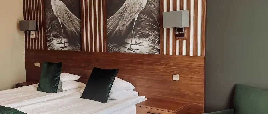 Thermal Hotel Visegrad