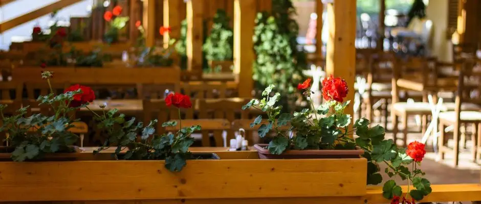 Viktor Wine- and Guesthouse Balatonmariafurdo