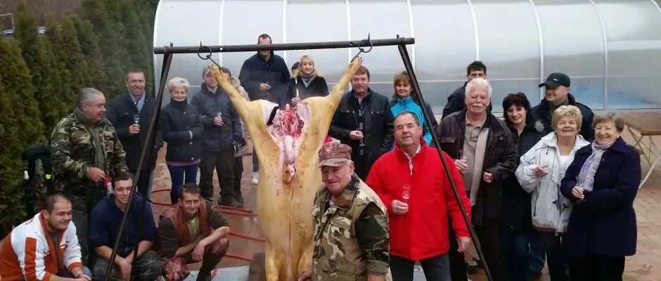 Viktor Wine- and Guesthouse Balatonmariafurdo