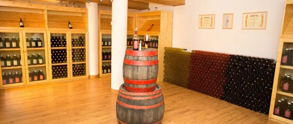 Viktor Wine- and Guesthouse Balatonmariafurdo