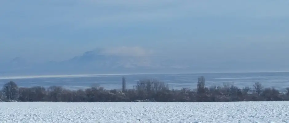 Viktor Wine- and Guesthouse Balatonmariafurdo